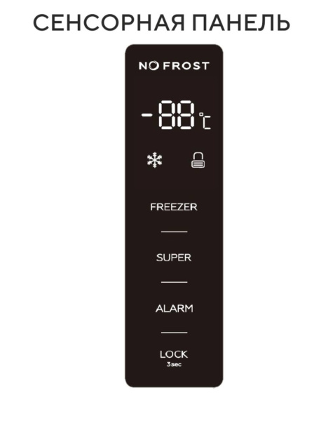 photo_2025-07-27_13-47-54 (2)