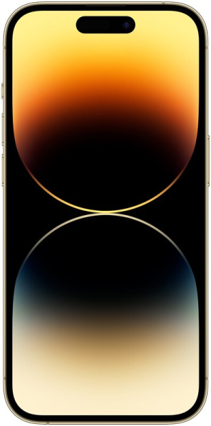 WhatsApp Image 2024-07-29 at 09.30.51