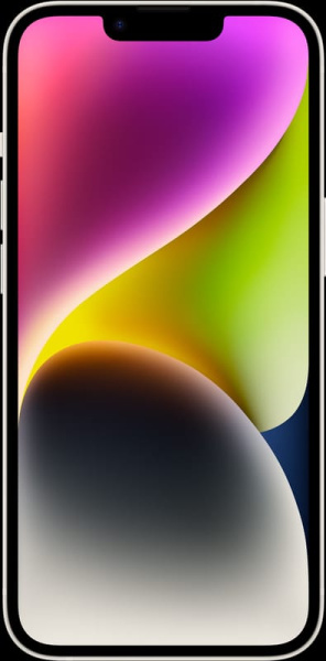 WhatsApp Image 2024-07-29 at 09.53.37