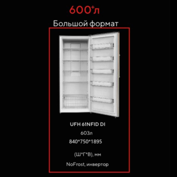 photo_2025-11-27_02-24-44