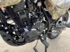 panther300_4